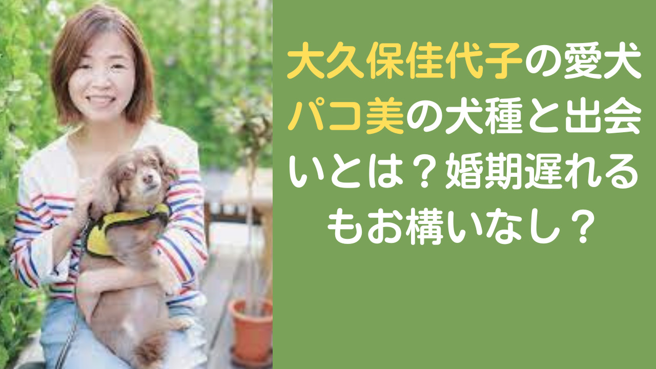 大久保佳代子の愛犬パコ美ちゃんについての記事のアイキャッチ画像